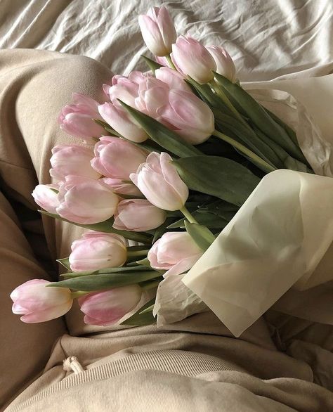 Winter Ashby, Nothing But Flowers, Flower Therapy, Spring Aesthetic, Pink Tulips, Croquettes, Simple Pleasures, Love Flowers, Pink Aesthetic