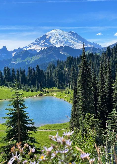 Mount Rainier National Park, Washington, USA Engelberg, Scenery Pictures, Mount Rainier National Park, Washington Usa, Rainier National Park, Pretty Landscapes, National Parks Trip, Landscape Pictures, Beautiful Scenery Nature