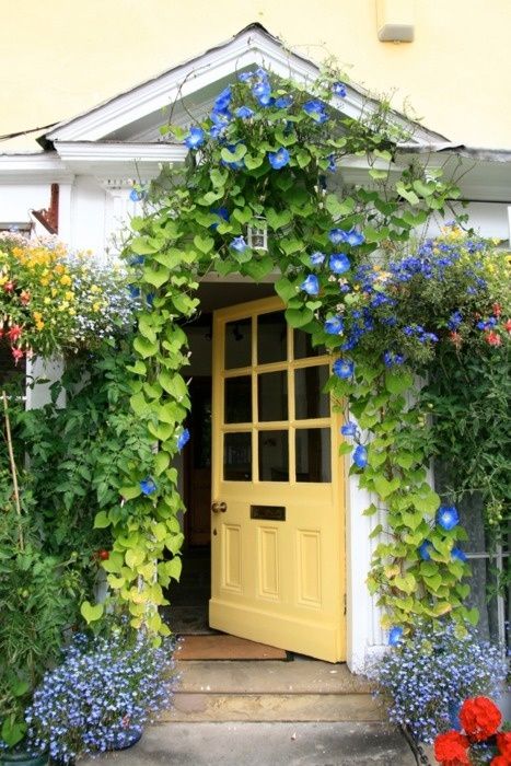 Trendy House, Blue Morning Glory, Yellow Door, Cottage Door, House Facade, Garden Vines, Yellow Doors, Morning Glories, Romantic Cottage