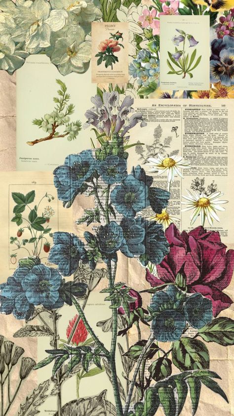 Botany Books Aesthetic, Plant Aesthetic Collage, Herbalist Aesthetic Wallpaper, Granola Collage Wallpaper, English Collage Aesthetic, Vintage Science Background, Vintage Plants Aesthetic, Fleurs Aesthetic Vintage, Aesthetic Botanical Wallpaper