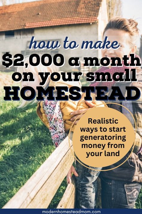 Ways To Make Money Making Money Off Your Land, Make Money Farming, Making Money From Homestead, How To Start A Small Farm, How To Make Money Homesteading, Homestead Money Making Ideas, Starting A Homestead, Profitable Homestead, Sell At Farmers Market