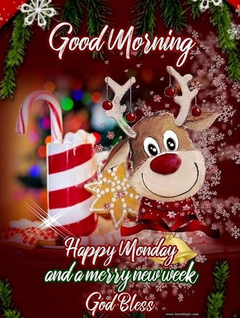 Good Morning Happy Monday Have A Merry New Week Pictures, Photos, and Images for Facebook, Tumblr, Pinterest, and Twitter Christmas Morning Quotes, Christmas Wishing, Monday Greetings, Good Morning Christmas, Good Morning Winter, Happy Monday Morning, Good Morning Happy Monday, Holiday Morning, Merry Christmas Gif