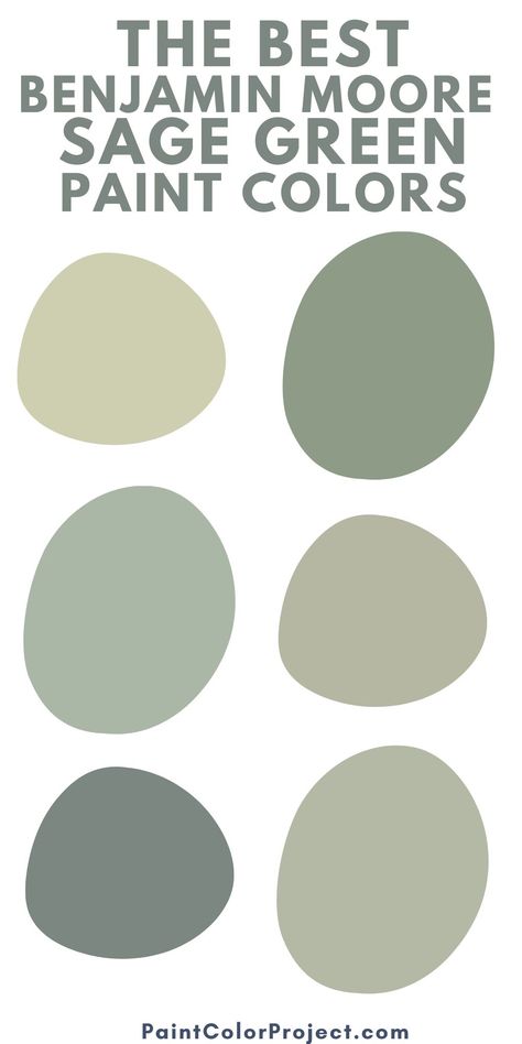 Love the color sage green? Here are the best benjamin moore sage green paint colors to use in your home! Benjamin Moore Sage Green Colors Kitchen, Money Moves Paint Color, Benjamin Moore Sage Green Colors Bedroom, Benjamin Moore Hillside Green, Benjamin Moore Galapagos Green, Benjamin Moore Muted Green, Green Bathroom Benjamin Moore, 2023 Green Paint Colors, Seedling Benjamin Moore