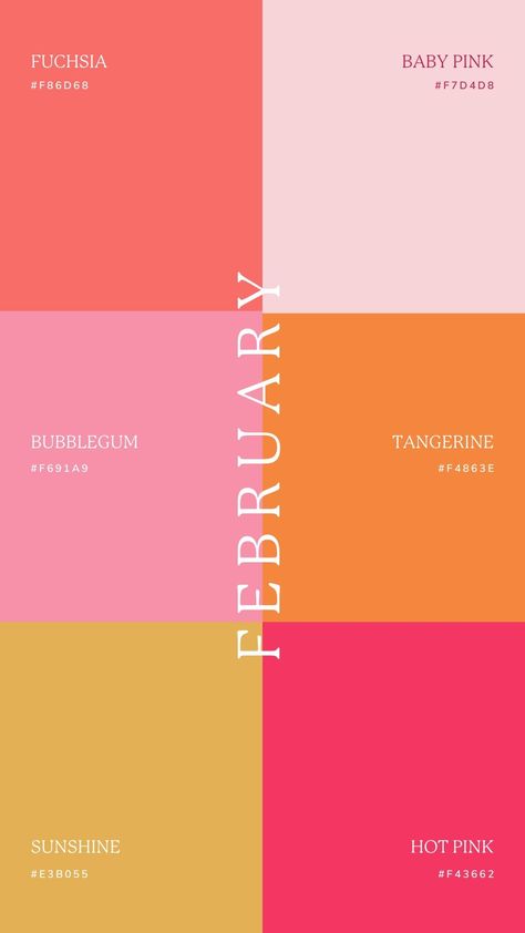 6 Color Combinations Colour Palettes, Fun Color Palette With Hex Codes, Self Love Color Palette, February Colors Palette, Color Schemes Graphic Design, Bold Branding Design Color Palettes, Colorful Branding Palette, Graphic Design Palette Color, Pink Summer Color Palette