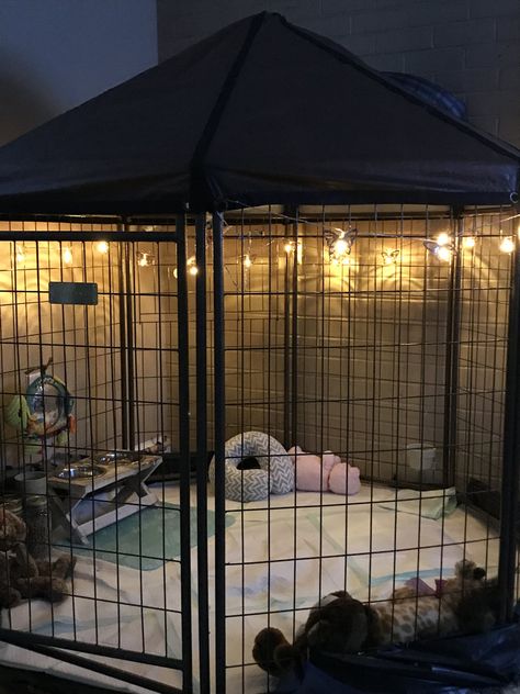 Cute Bunny Pen Ideas, Puppy Cages Ideas, Puppies Cage Ideas, Animal Room Ideas Pets Small Animals, Outside Pig Pen Ideas, Cages For Dogs, Mini Pig Indoor Housing, Indoor Mini Pig Pen Ideas, Cat Play Pen Indoor