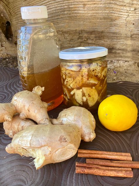 Healing Lemon, Ginger, Cinnamon & Honey Elixir Ginger Cinnamon Tea, Ginger Lemon Honey Tea, Recipe With Ginger, Honey And Lemon Drink, Honey Remedies, Cough Syrup Recipe, Cinnamon Drink, Ginger Honey Lemon, Ginger Tea Recipe