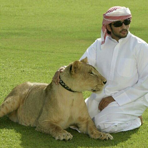 Sheikh Hamdan  prince of Dubai= arabic dreammm Prince Hamad, Dubai Sheikh, Fazza Hamdan, Lion Photo, Prince Of Dubai, Prince Hamdan, Royal Family Pictures, Handsome Men Quotes, I Love You Honey