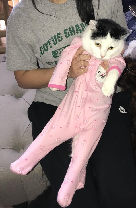 Pajama cat Cats In Pajamas, Cat Pictures For Kids, F1 Wag, Beautiful Cats Pictures, Animal Pajamas, Cat Pajamas, Cat Meme, Baby Pajamas