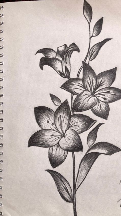 Flower Drawing With Shading, Flower Drawing Tattoo Sketches, Shaded Flower Drawing, Flower Sketches Pencil Shading, Flower Pencil Shading, Flower Shading Drawing, Pencil Flower Drawings, Flower Drawing Design Simple, Pencil Art Flowers