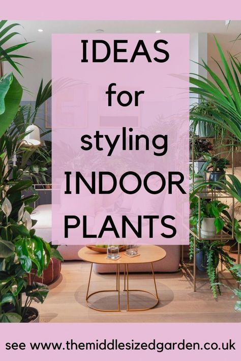 Indoor Plants Decor Living Room, Plant Decor Living Room, Houseplants Decor, Indoor Plants Styling, Houseplants Low Light, Indoor Plant Wall, Plant Installation, Large Indoor Plants, Hanging Plant Wall