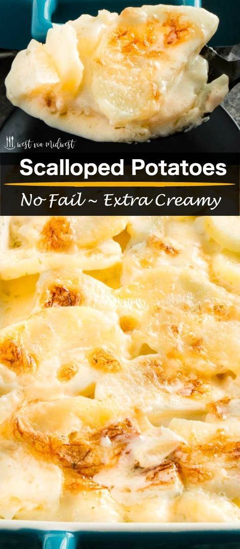 Scalloped Potatoes Without Milk, Thickening Potatoes, Make Ahead Scalloped Potatoes Holidays, Scalloped Potatoes Without Flour, Sauce For Scalloped Potatoes, Scalloped Potatoes With Heavy Cream, Canned Potato Recipes, Scalloped Potatoes With Cream, Old Fashioned Scalloped Potatoes