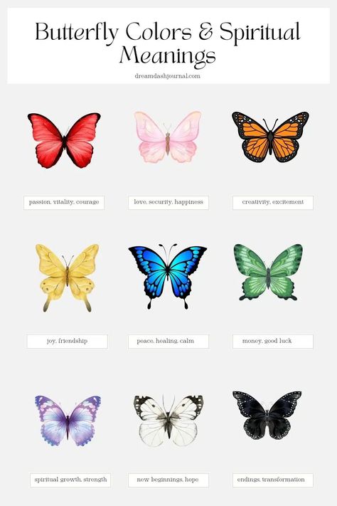 Butterfly Spiritual Meaning Butterflies And Their Meanings, Butterfly New Beginnings Tattoo, Meaning Of Different Colours, Symbolism Of Butterflies, Butterfly Colors Meaning, Meanings Of Butterflies, Types Of Butterflies Meaning, Butterflies Meaning Spiritual, Pink Butterfly Meaning