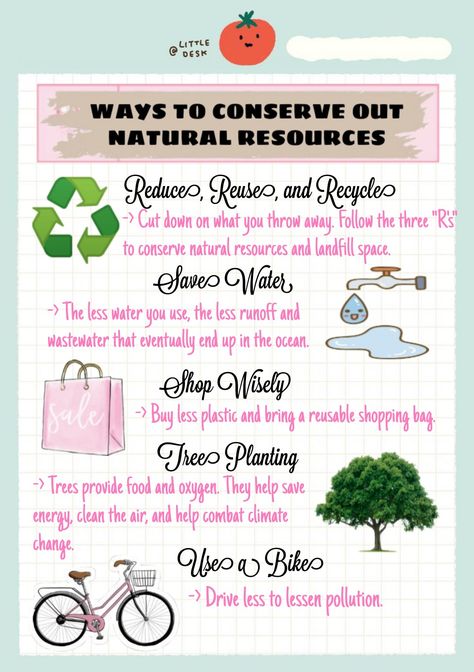 Conserve Nature Poster, Conservation Of Nature Poster, Save Natural Resources Poster, Conservation Of Resources Poster, Conservation Of Natural Resources Poster, Nature Conservation Poster, Natural Resources Poster, Natural Resources Images, Environment Activities