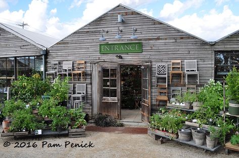 Garden marries home at destination nursery/garden shop Terrain - Digging Garden Shop Display Retail, Garden Store Design, Greenhouse Nursery Business, Retail Greenhouse Display Ideas, Garden Nursery Ideas, Garden Shop Ideas, Nursery Garden, California Garden Design, Greenhouse Cafe