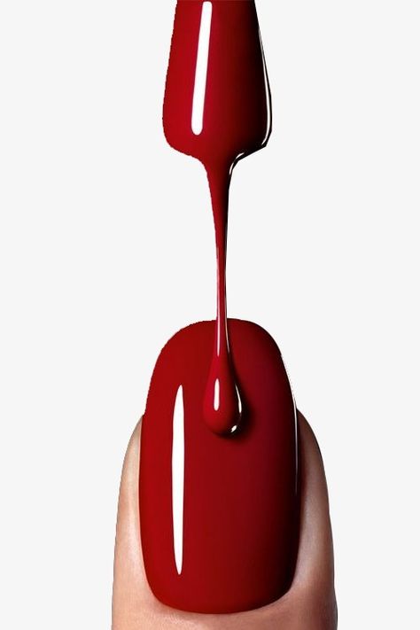 nail clipart,nail polish,red,scarlet,fingernail,nail,polish,polish clipart Nails With Nail Polish, Halloween Nail Colors, Halloween Nails Diy, Nail Salon Decor, Halloween Acrylic Nails, Nail Salon Design, Nail Logo, Cosmetics Photography, Nail Art Instagram