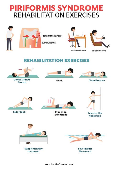 If you have piriformis syndrome that is aggravated by sitting or driving, make sure you are including some of these rehabilitation exercises into your routine. These exercises will strengthen your core, glutes, and increase hip mobility. Piriformis syndrome symptoms should decrease when you apply these exercises on a regular basis. Strengthen Piriformis Muscle, Hip Physical Therapy, Physical Therapy Hip Exercises, Clicking Hip Syndrome, Hip Pt Exercises, Paraformus Stretches, Exercises To Strengthen Hip Joints, Hip And Glute Strengthening, Deep Gluteal Syndrome