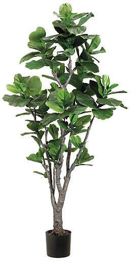 One Kings Lane 6' Bravos Planter - Faux Tall Potted Plants, Fiddle Leaf Tree, Tree Plan, Fiddle Fig, Fiddle Leaf Fig Tree, Ficus Lyrata, Plant Decor Indoor, Silk Plants, Plants Indoor