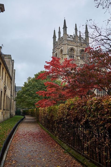 Fall Lights, Oxford City, England Aesthetic, Oxford England, College Aesthetic, London Aesthetic, Dream College, University Life, Oxford University