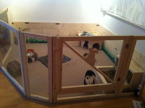 Rabbit Corner, Animal Homes, Bunny Ideas, Rabbit Ideas, Bunny Room, Pet Bunny Rabbits, Bunny Cages, Bunny House, Pet Bunny