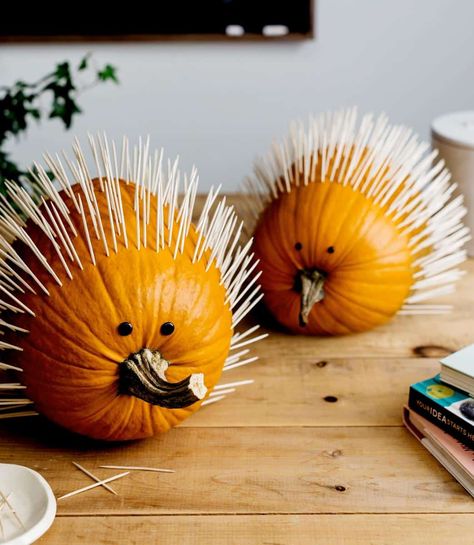 Pumkin Decoration, Creative Pumpkin Decorating, Cute Pumpkin Carving, Dekorasi Halloween, Pumpkin Decorating Contest, No Carve Pumpkin Decorating, Creative Pumpkin Carving, Pumpkin Carving Designs, Labu Halloween