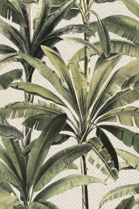 Palmera — Arte African Jungle, Tropical Luxury, Luxury Wallpaper, Wallpaper Calculator, London Art, Wallpaper Samples, Of Wallpaper, Cool Wallpaper, Pattern Wallpaper