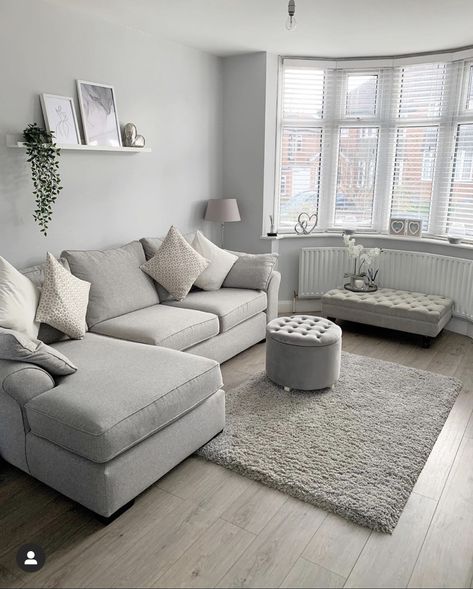 Gray sofa living room ideas