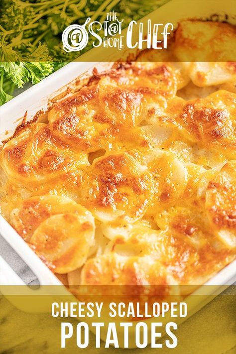 Easy Scalopped Potatoes Recipe, Scalloped Potatoes For 4 People, Scalloped Potatoes For Two People, Scollaped Potatoes, Scalloped Potatoes With Half And Half, Gf Scalloped Potatoes, Scalloped Potatoes Pioneer Woman, Scollaped Potato Recipe, Small Batch Scalloped Potatoes