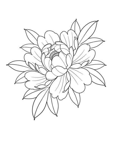 Japan Flower Tattoo, Flower Tattoo Stencil, Crisantemo Tattoo, Dragon Tattoo Outline, Japanese Peony Tattoo, Flower Tattoo Stencils, Peony Flower Tattoos, Peony Drawing, Japanese Flower Tattoo