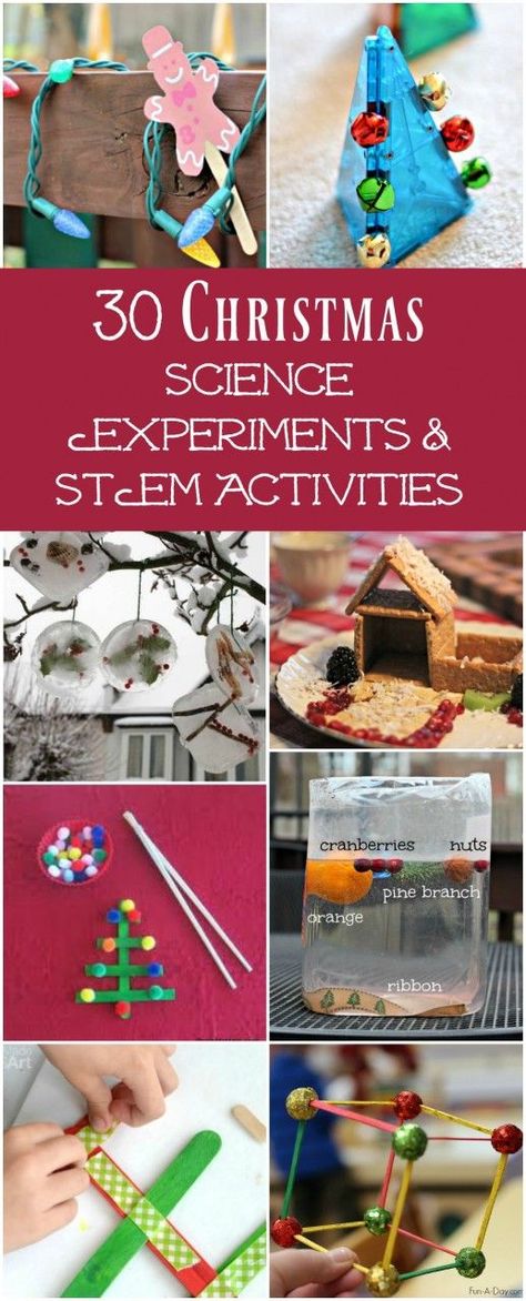 30 Christmas Science Experiments & Activities for Preschool to Middle School Kids #christmas #scienceforkids Christmas Stem Activities, Christmas Science Experiments, Stem Activities For Kids, Stem Activities Preschool, Christmas Science, Christmas Stem, Holiday Activities For Kids, Kid Experiments, Activities For Preschool