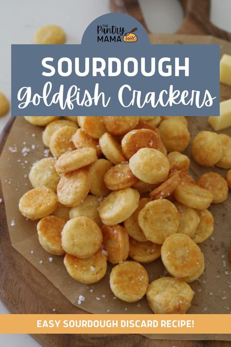 Sourdough Goldfish Crackers (Sourdough Cheddar Crackers) Discard Crackers Cheese, Sourdough Gram Crackers, Sourdough Cheez It Crackers, Discard Goldfish Crackers, Easy Sourdough Crackers, Sourdough Saltine Crackers, Sourdough Cheese Straws, Sourdough Ritz Crackers, Sourdough Baby Snacks