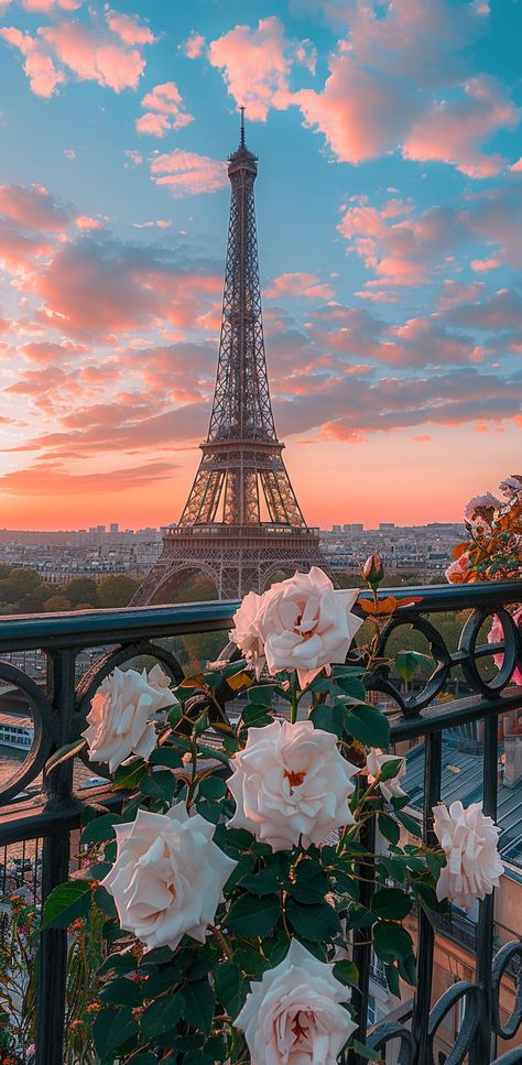 White roses bloom near Eiffel Tower at sunset, Paris skyline aglow in pink and blue hues Aesthetic Pictures Vintage, Vintage Paris Aesthetic, Paris In Winter, Paris In December, French Landmarks, Paris Life, Paris Bucket List, Eiffel Tower Photography, City Paris