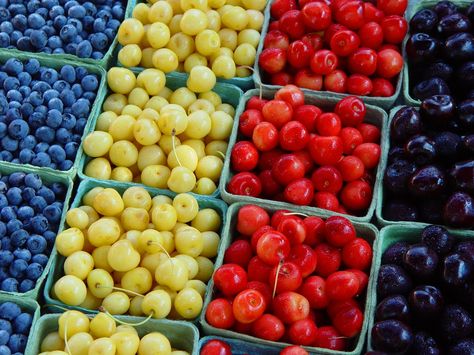 variety Unity Photography, Michigan Food, Cherry Festival, Different Types Of Colours, Spiced Fruit, Elements And Principles, Different Fruits, Principles Of Design, Variety Of Fruits