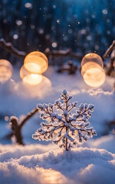 Beautiful Snow Pictures, Magic Winter Aesthetic, Holiday Pics Aesthetic, Christmas Magic Aesthetic, New Year Celebration Aesthetic, Winter Aesthetic Pics, Christmas Mood Aesthetic, Beautiful Winter Scenes Christmas, Snowflakes Pictures