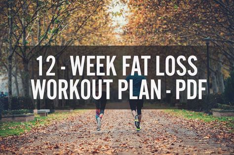 12 Week Workout Plan, Visceral Fat Loss, 12 Week Body Transformation, 12 Week Transformation, 12 Week Workout, Fat Loss Food Plan, Workout Plan For Men, Fat Loss Plan, Weekly Workout Plans