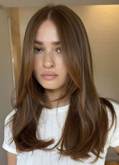 Honey Brown Hair, Brown Hair Looks, Brown Hair Inspo, Haircut Inspo, Hairstyles For Layered Hair, בר מצווה, Hair 2024, Long Brown Hair, Haircuts Straight Hair