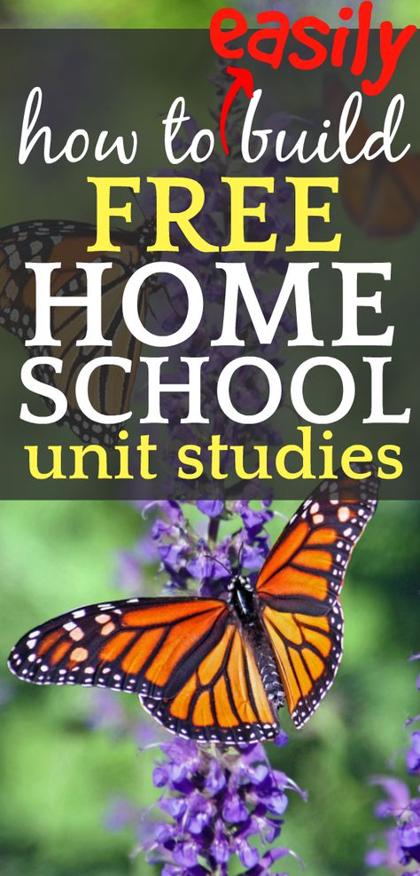 Homeschool Unit Studies, Science Unit Studies, Secular Homeschool, Kindergarten Units, Unit Studies Homeschool, Homeschool Middle School, Free Homeschool Curriculum, Free Homeschool Resources, Homeschool Education