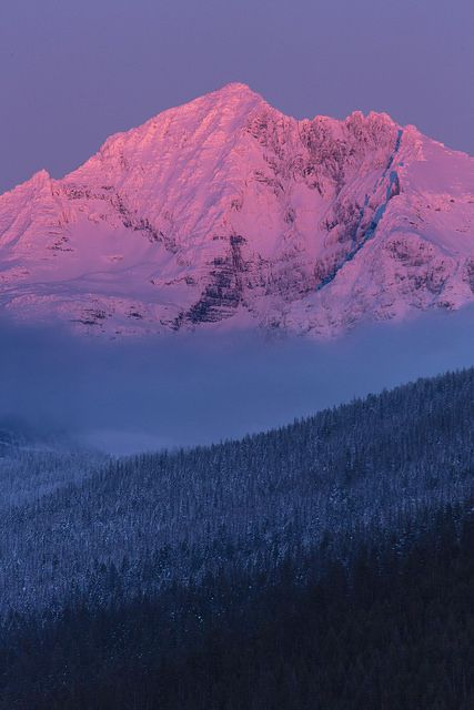 Gunsight Mountain Sunset | NPS / Jacob W. Frank | GlacierNPS | Flickr Sunset Mountains, Lake Mcdonald, Pink Mountains, Mountain Wallpaper, Winter Sunset, Mountain Sunset, Pink Sunset, Glacier National, Glacier National Park