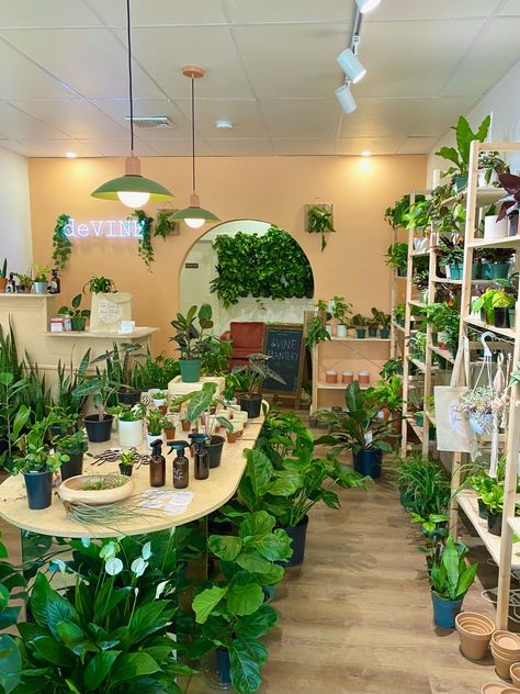 Selling Plants On Etsy, Indoor Plant Store Ideas, Boutique Plant Shop, Inside Flower Shop, Book And Plant Store, House Plant Shop, Plant Boutique Ideas, Plant Store Design, Plant Booth Display