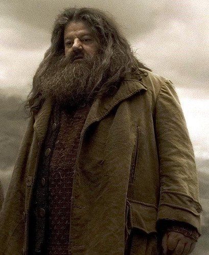 rubeus hagrid | Rubeus Hagrid | ϟ Harry Potter and the Magic Decade | Pinterest Robbie Coltrane, Hagrid Wallpaper, Rubeus Hagrid, Cho Chang, Harry Potter Cosplay, Images Harry Potter, Draco Harry Potter, Harry Potter Gif, Harry Potter Actors