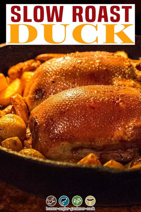 Best Roasted Duck Recipe, Whole Roast Duck Recipes, Slow Cooked Duck, Roast Whole Duck Recipe, How To Cook Wild Duck, Dutch Oven Duck, Cooking Duck Whole, How To Make Duck, How To Cook Duck In Oven