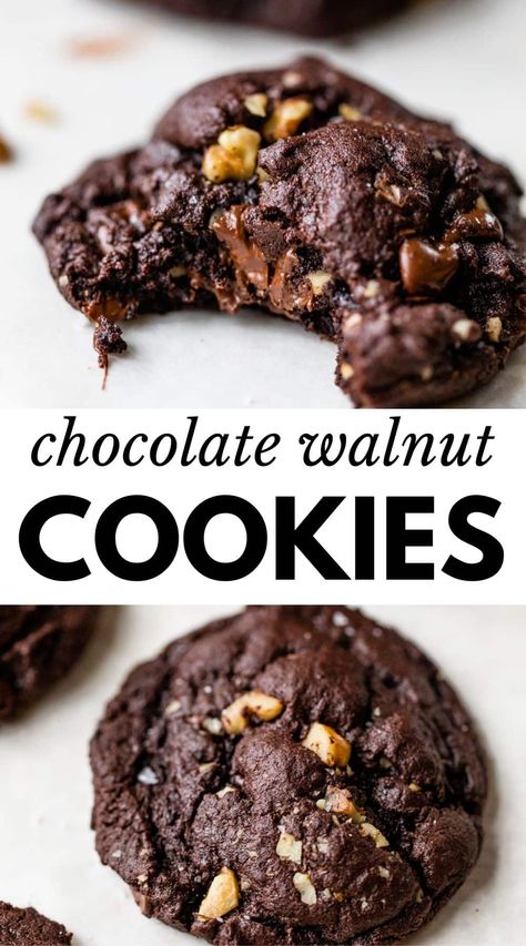 Chocolate Walnut Cookies Recipes, Chocolate Cookies With Walnuts Recipes, Chocolate And Walnut Cookies, No Bake Walnut Cookies, Double Chocolate Walnut Cookies, Chocolate Chip Cookies With Walnuts Recipes Easy, Dark Chocolate Walnut Cookies, Honey Walnut Cookies, Easy Walnut Cookies