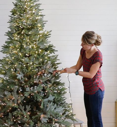 Learn how to hang lights by yourself AND make them look professionally done.  Such a great tutorial for hanging Christmas tree lights! Hanging Lights On Tree, Only Lights Christmas Tree, Add Lights To Christmas Tree, Lights On Christmas Tree How To Put, Lighting Christmas Tree, Best Way To Light A Christmas Tree, Best Lights For Christmas Tree, How To Hang Christmas Lights On Tree, How To Put Lights On A Tree