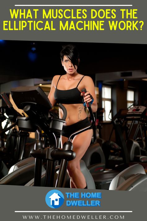 The elliptical machine is an amazing addition to every home gym. So let’s dive in and find out about each major muscle group you target with an elliptical machine. #ellipticalhiit #hiitonelliptical #ellipticalworkout #ellipticalhiitworkout Best Elliptical Machine, Elliptical Before And After, Elliptical Benefits, Knee Fat, Elliptical Machine Workout, Elliptical Workout, Elliptical Trainer, Elliptical Machine, Gym Machines