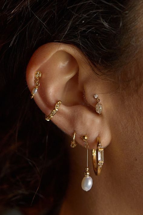 Piercing Inspo For Small Ears, Ear Piercing Collection, Super Pierced Ears, Fantasy Ear Piercings, Gold Earring Stack Aesthetic, Earrings With Gemstones, Pearl Ear Curation, Ear Piercings With Tragus, Aesthetic Ear Stack