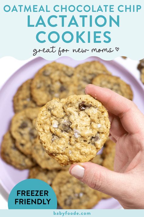 Chocolate Chip Lactation Cookies, Best Lactation Cookies, Breastfeeding Cookies, Lactation Cookies Recipe, Breastfeeding Snacks, Boost Milk Supply, Meal Train Recipes, Breastfeeding Foods, Lactation Recipes