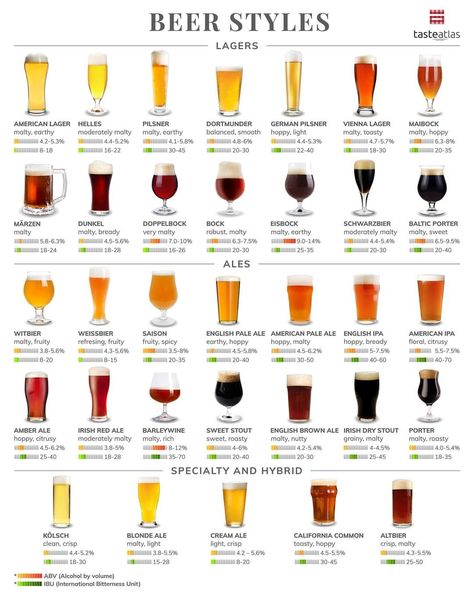 1st Friday in August is celebrated as International Beer Day. So grab yourself a beer and check out our beer styles database! Beer Infographic, Craft Beer Recipes, Beer Facts, International Beer Day, Beer Types, Beer Guide, Types Of Beer, Beer Menu, Brewing Recipes