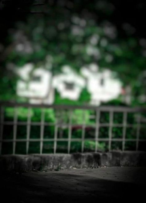 Background Cb, Background Png Images, Full Hd Background, Meme Background, Blur Image Background, Photoshop Digital Background, Blurred Background Photography, Green Screen Background Images, Blur Background Photography