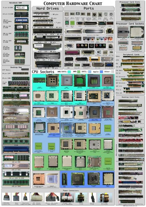 A computer hardware chart that helps you visually identify plugs, ports, sockets, RAM and other computer components. Wojskowy Humor, Cpu Socket, Build A Pc, Computer Build, Computer Shortcuts, Computer Knowledge, Pc Parts, Computer Basics, Computer Repair