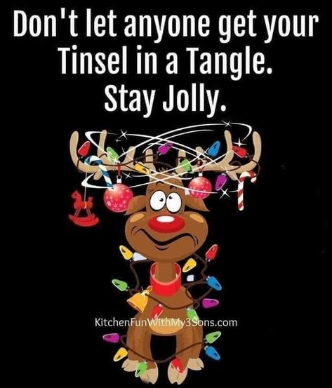 Christmas Critters, Funny Day Quotes, Holiday Morning, Merry Christmas Pictures, Christmas Memes, Christmas Jokes, Mom Life Quotes, Cute Good Morning Quotes, Holiday Quotes