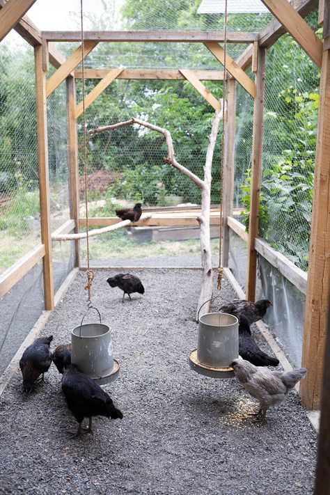 Chicken Coop Furniture Ideas, Chicken Coop Next To Garden, Open Concept Chicken Coop, Chicken Coop With Tack Room, Diy Large Chicken Run, L Shaped Chicken Coop And Run, Gambrel Roof Chicken Coop, Bushes Against Fence, Recycled Material Chicken Coop